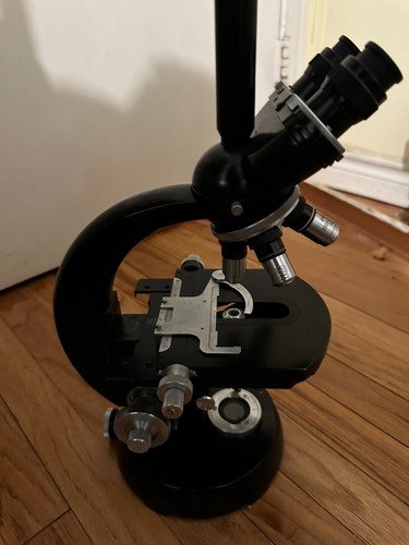 Microscopio standard carl - microscopio,