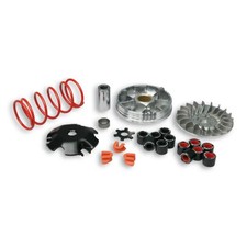 Variatore Malossi Multivar -