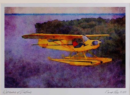 450023 piper cub on - 450023,