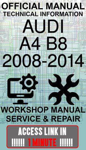 Access link manuale - access, officina