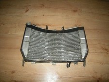 Gabbia radiatore, protezione