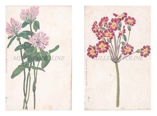 CARTOLERIA MARCHIONNE CHIETI -