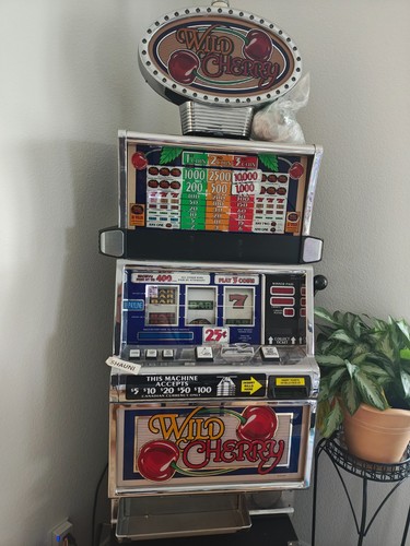 Wild cherry slot - wild,