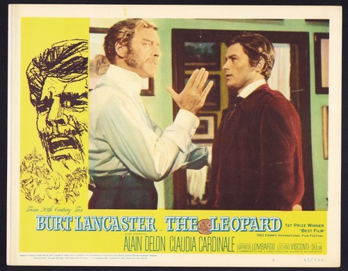 The leopard poster originale - leopard,