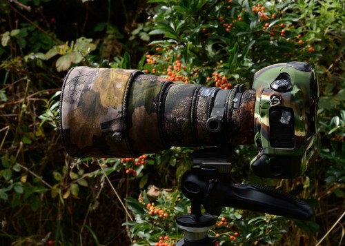 Sigma 300 dg hsm - 300,