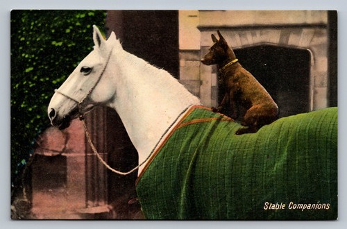 Postcard greetings stable - postcard,
