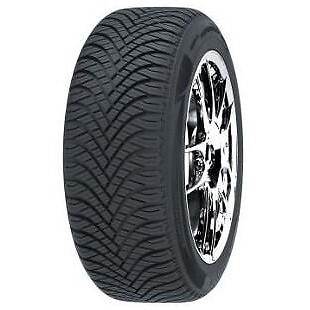 225 r19 goodride - 99, v
