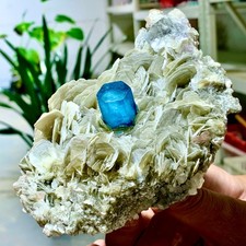 468G Acquamarina Naturale Mica Paragenesi Cristallo Esemplare Livello Museo