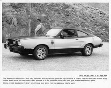 Foto stampa stallone Ford