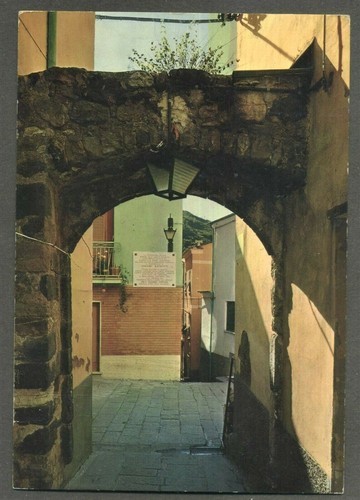 Deiva marina - (la,