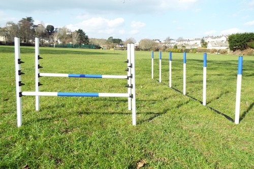 Attrezzatura agility per cani - agility,