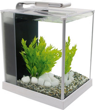 Askoll 280270  Acquario Spec Bianco 10 L 27, 5 X 22, 3 X 30 H