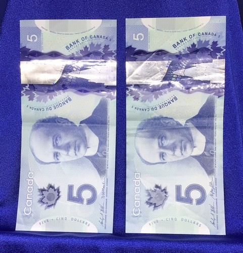 2013 canadese cinque - canadese, $5