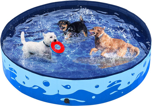 Piscina per cani - piscina,