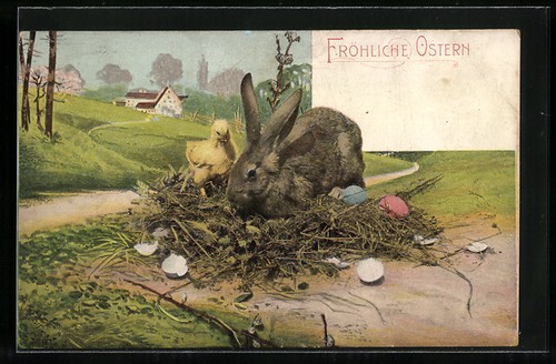 Cartolina coniglio pasquale - cartolina,