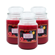 3 CANDELE PROFUMATE GIARA STILE YANKEE CANDLE 510gr IN VETRO - FRUTTI BOSCO