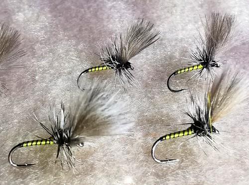 Gufo giallo cdc kamasan dry - cdc,