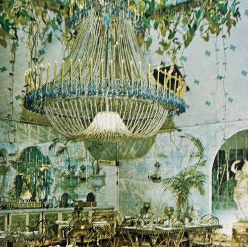 Cartolina anni kapor tree - 80,