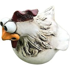 Affascinanti Polli Ornamentali