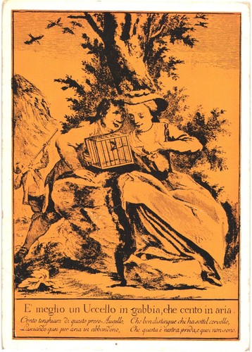 Proverbio italiano uccellino - proverbio,