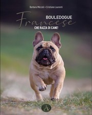 French Bulldog - Passion