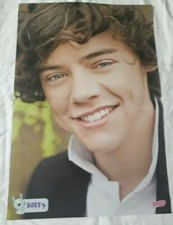 HARRY STYLES- LALITOR POSTER 29x42 cm 