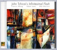 Infinitesimal Flash Album
