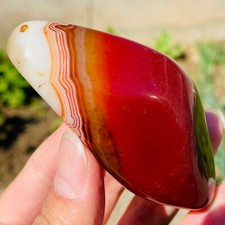 Esemplare pietra palma
