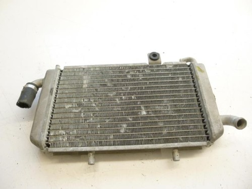 Radiatore acqua piaggio - radiatore,