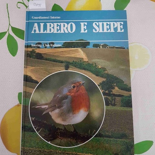 Albero siepe botanica - e,