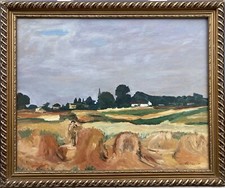 Paesaggio Nordico Con Spighe