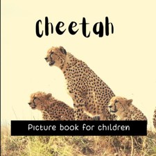 Midar - Cheetah   Picture book for children - New paperback or softbac - X555z