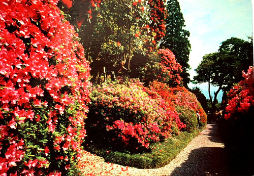 Lago como bellagio villa - di,