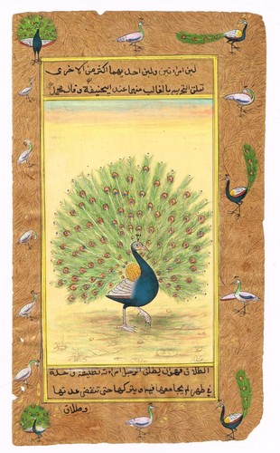 India miniatura dipinto che - india,