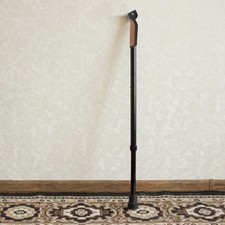  Bastone da passeggio