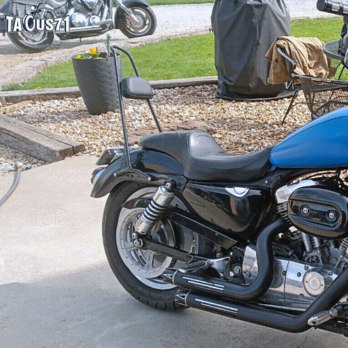 Sissy bar passenger - bar, backrest
