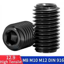 Perni filettati M8 M10 M12 con taglio ad anello 12.9 nero viti senza fine DIN 916
