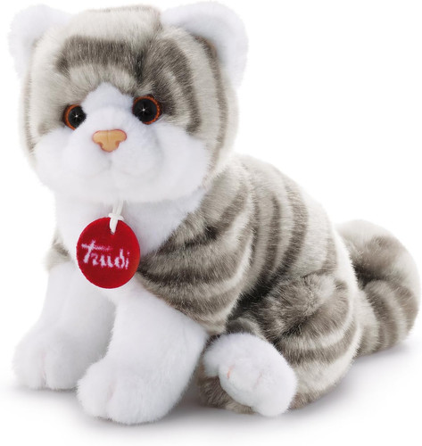 Gattino brad tigrato - gattino, grigio