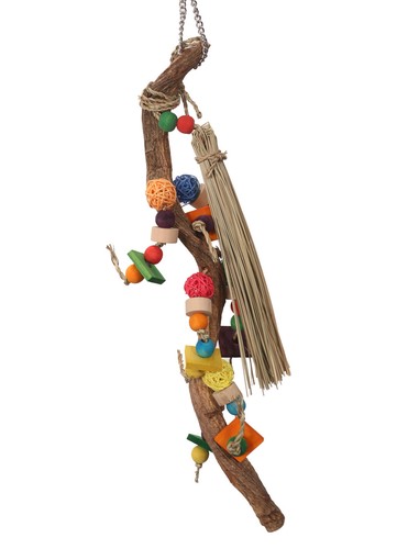 Enrichment vine pappagallo - vine,