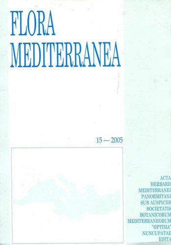 Raimondo francesco greuter - francesco,