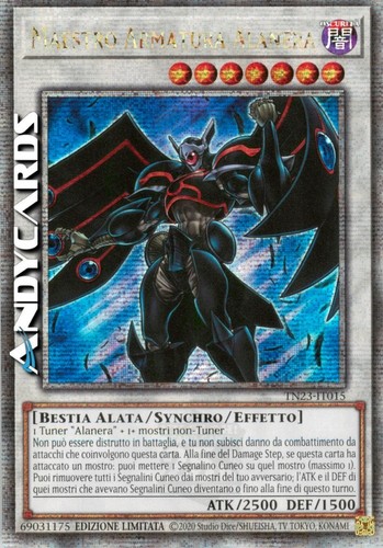 Maestro armatura alanera - armatura, •