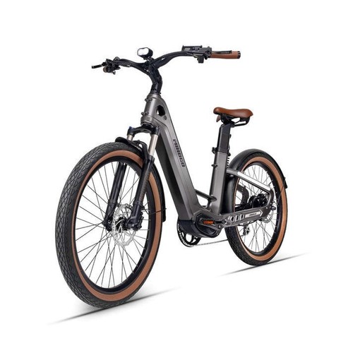 Bici elettrica doppia batteria - elettrica,