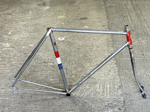 Carlton pista steel frameset - pista,
