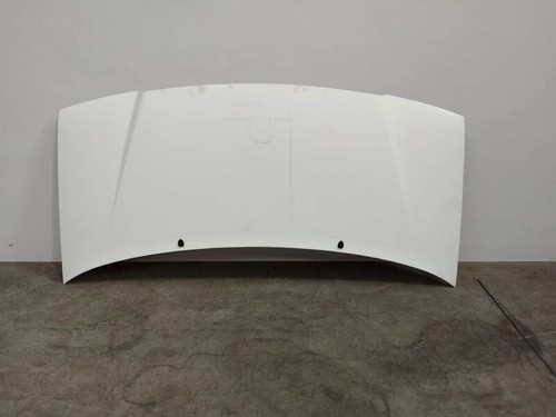 Cappuccio fiat scudo 222 - cappuccio,