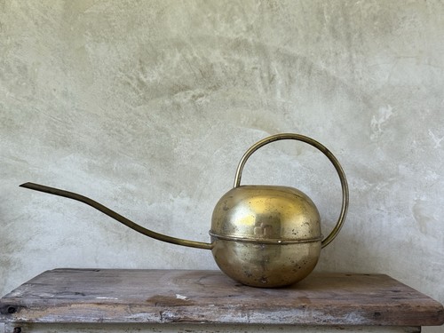 Antico annaffiatoio vintage
