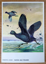 CARTOLINA CACCIA ALLE FOLAGHE ROBERTO LEMMI EDITORIALE OLIMPIA