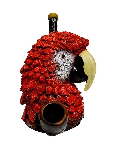 Macaw parrot head - head, hand