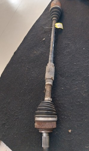 44305tf0j00 semialbero ant - semialbero,
