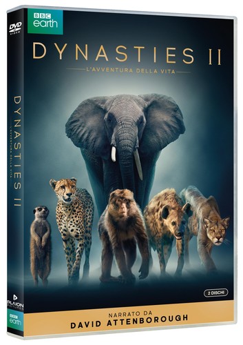 Dynasties l avventura - 2, l'avventura