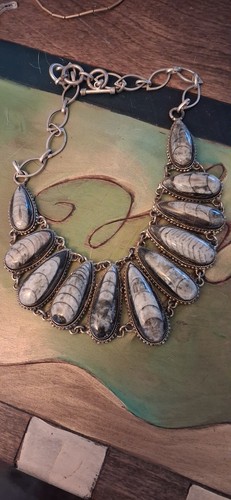 Collana orthoceras fossil - fossil, in